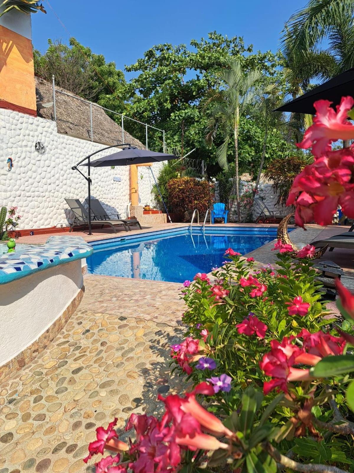 Hotelito Swiss Oasis At Playa Zicatela - Adults Only - No Groups - Kitchen - Swiss Managed Puerto Escondido  Exterior foto