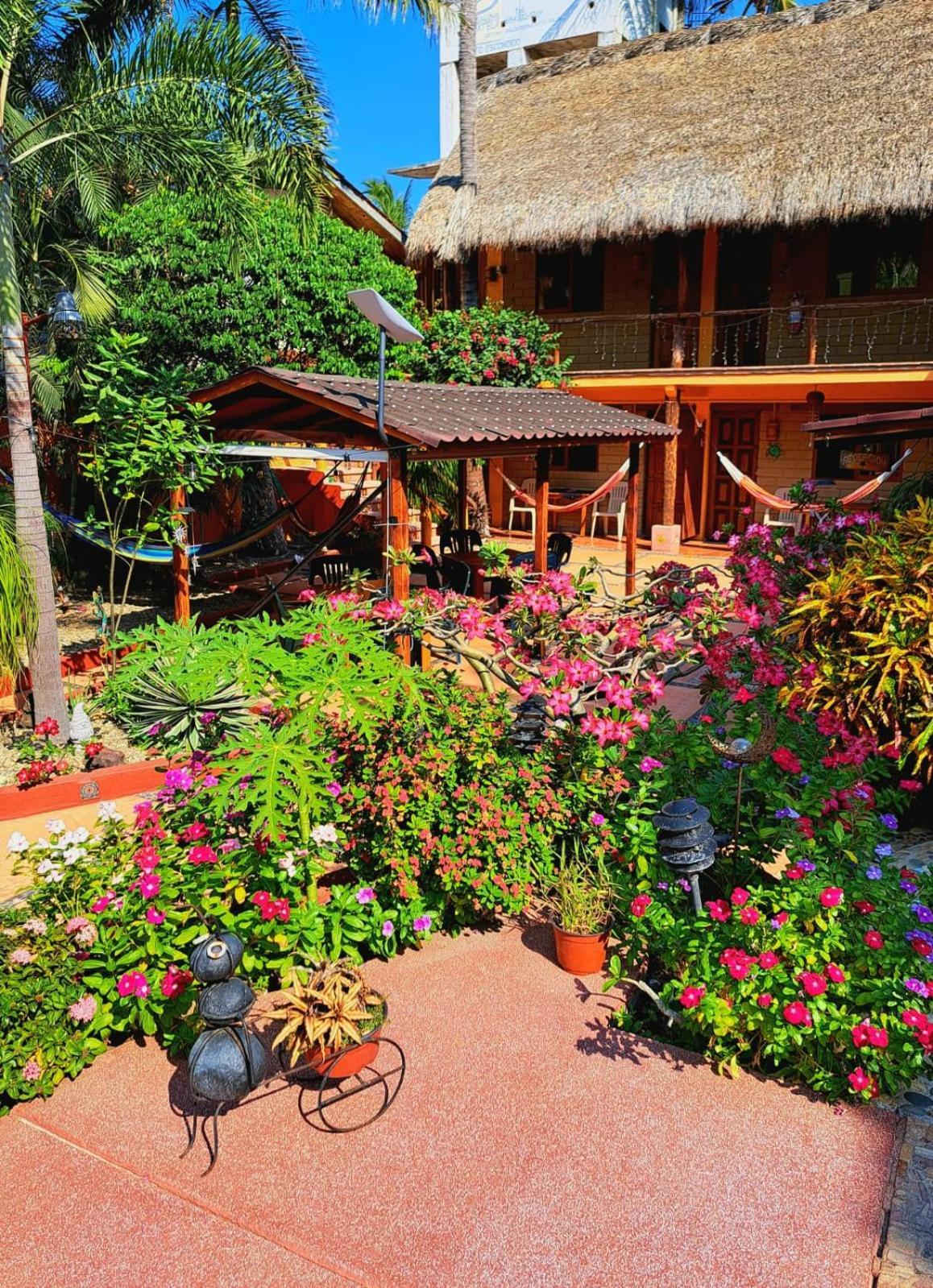 Hotelito Swiss Oasis At Playa Zicatela - Adults Only - No Groups - Kitchen - Swiss Managed Puerto Escondido  Exterior foto
