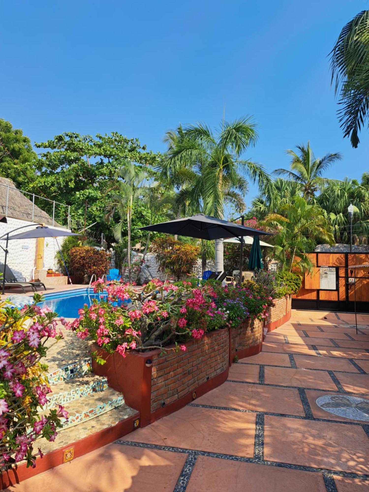 Hotelito Swiss Oasis At Playa Zicatela - Adults Only - No Groups - Kitchen - Swiss Managed Puerto Escondido  Exterior foto