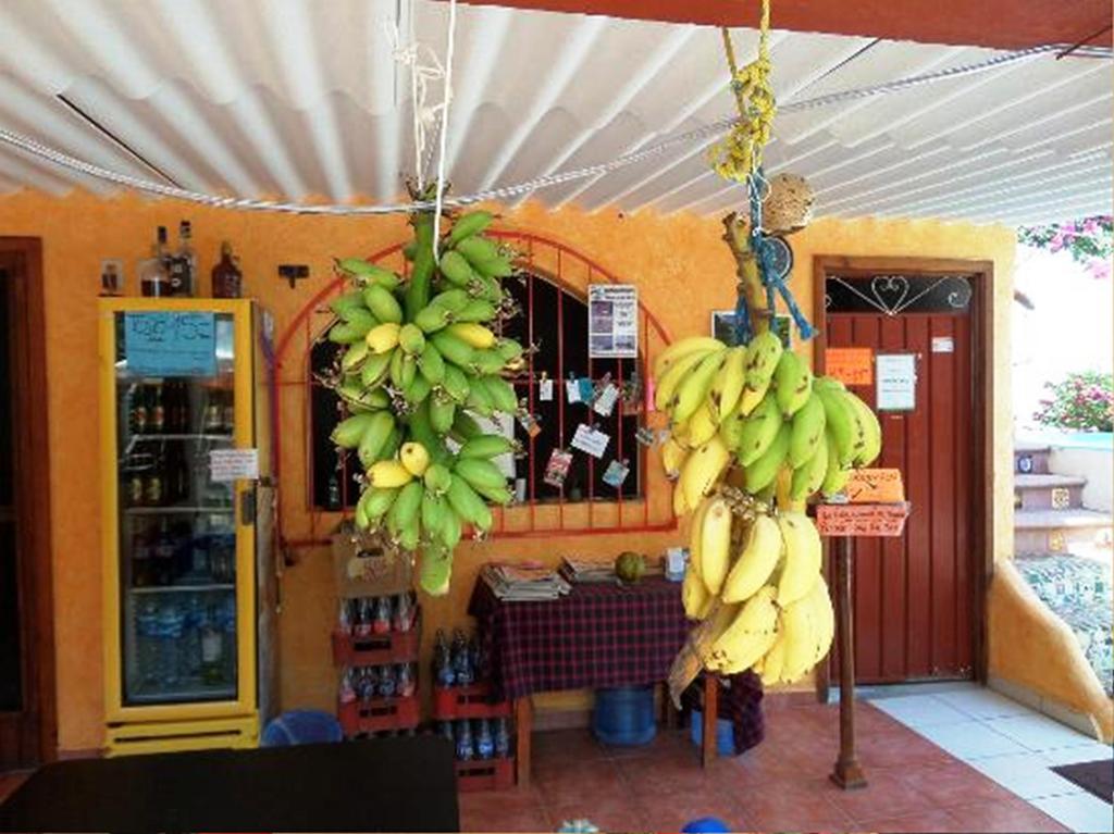 Hotelito Swiss Oasis At Playa Zicatela - Adults Only - No Groups - Kitchen - Swiss Managed Puerto Escondido  Exterior foto