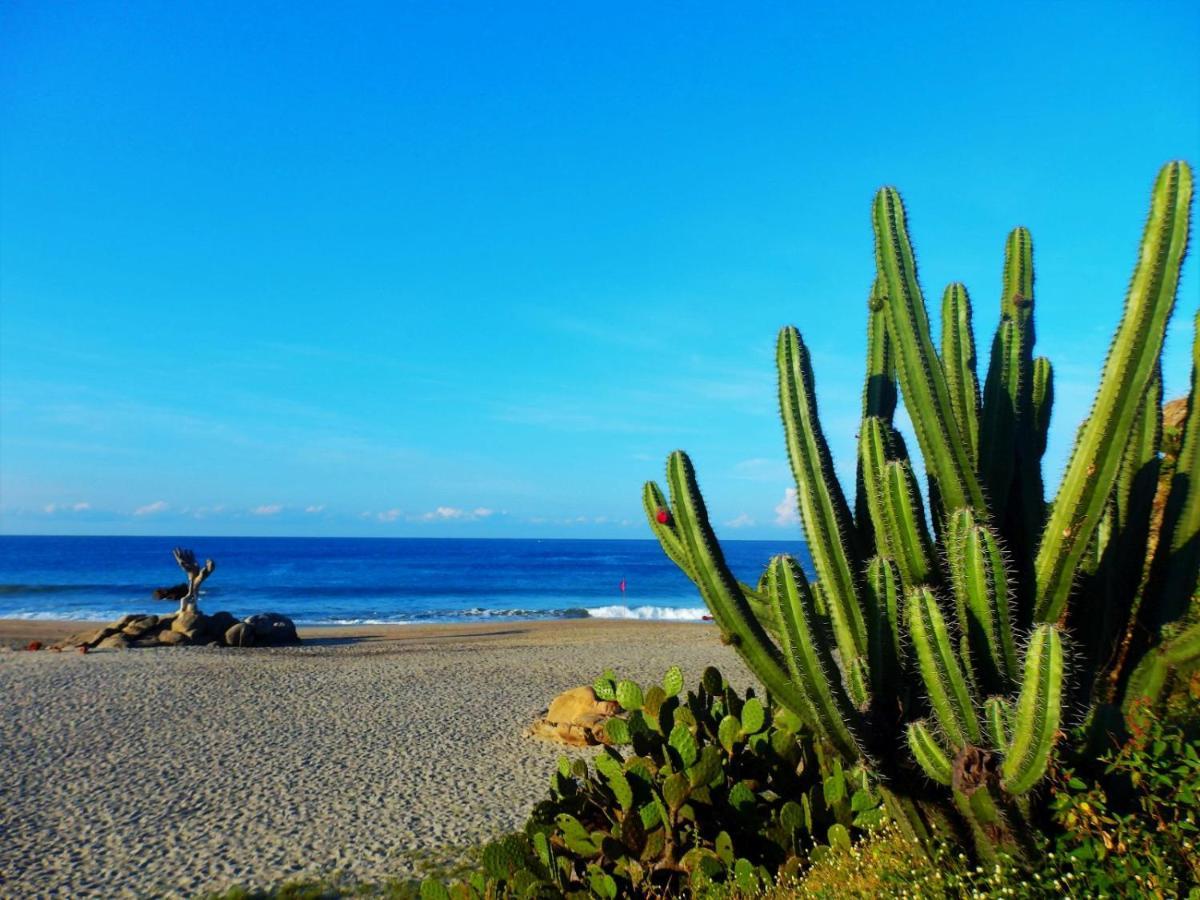 Hotelito Swiss Oasis At Playa Zicatela - Adults Only - No Groups - Kitchen - Swiss Managed Puerto Escondido  Exterior foto